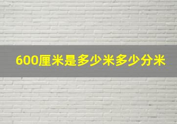 600厘米是多少米多少分米