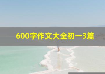 600字作文大全初一3篇