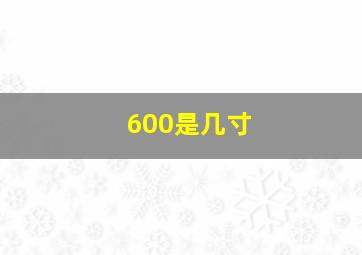 600是几寸