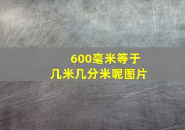 600毫米等于几米几分米呢图片