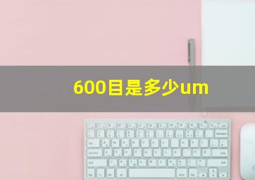 600目是多少um