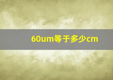 60um等于多少cm