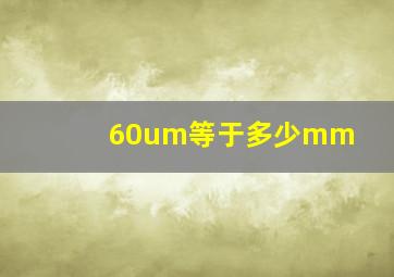 60um等于多少mm