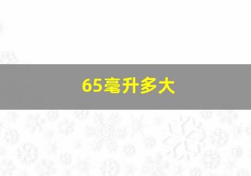 65毫升多大