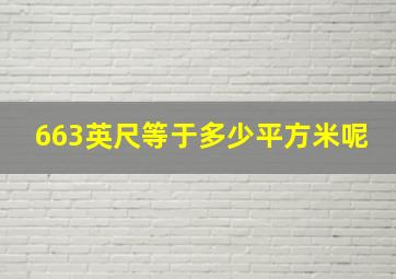 663英尺等于多少平方米呢