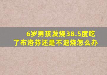 6岁男孩发烧38.5度吃了布洛芬还是不退烧怎么办