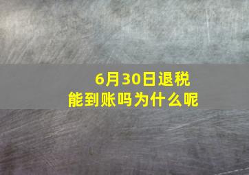 6月30日退税能到账吗为什么呢