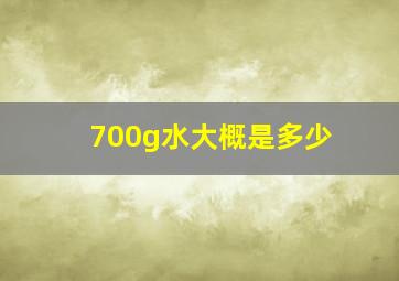 700g水大概是多少