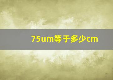 75um等于多少cm