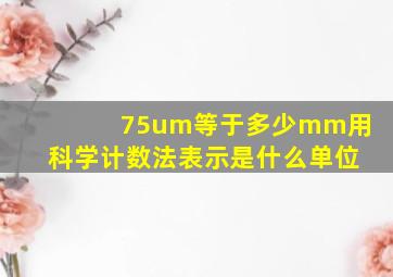 75um等于多少mm用科学计数法表示是什么单位