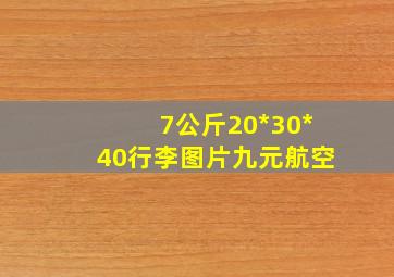 7公斤20*30*40行李图片九元航空