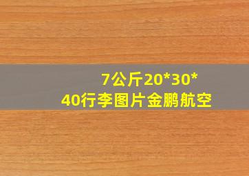 7公斤20*30*40行李图片金鹏航空