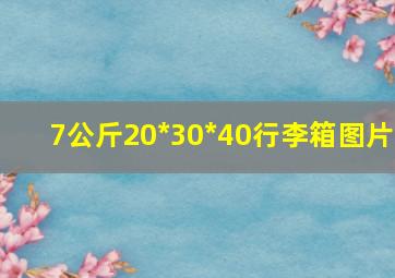 7公斤20*30*40行李箱图片