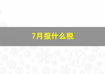 7月报什么税