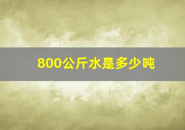 800公斤水是多少吨