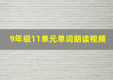 9年级11单元单词朗读视频