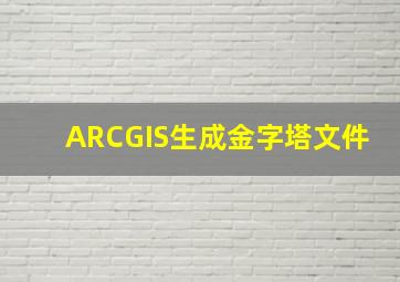 ARCGIS生成金字塔文件