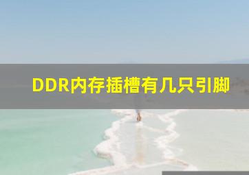 DDR内存插槽有几只引脚