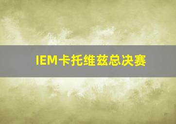 IEM卡托维兹总决赛