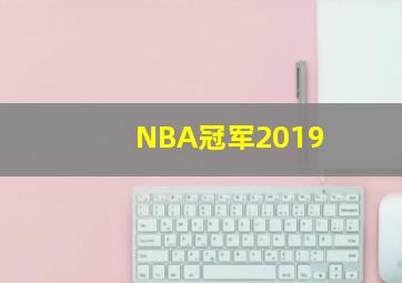 NBA冠军2019