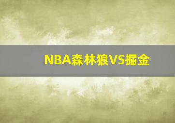 NBA森林狼VS掘金