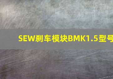 SEW刹车模块BMK1.5型号