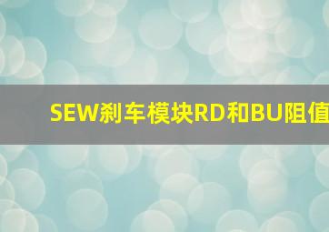 SEW刹车模块RD和BU阻值