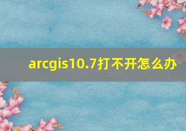 arcgis10.7打不开怎么办