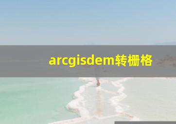 arcgisdem转栅格