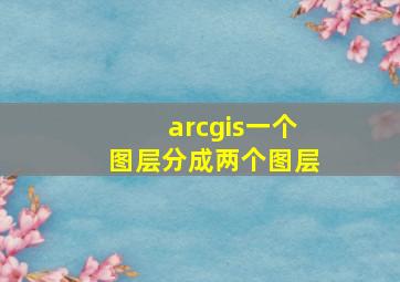 arcgis一个图层分成两个图层