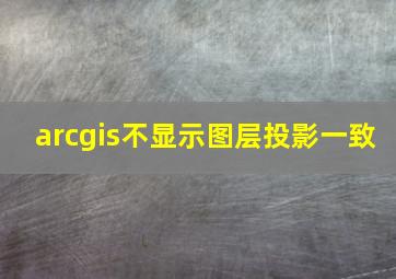 arcgis不显示图层投影一致