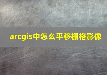 arcgis中怎么平移栅格影像