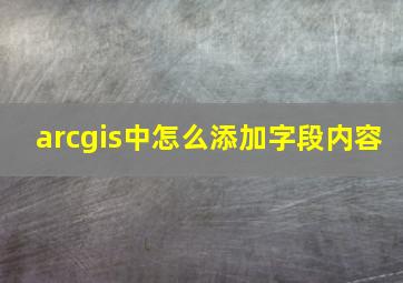 arcgis中怎么添加字段内容