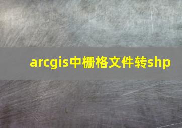 arcgis中栅格文件转shp