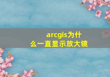 arcgis为什么一直显示放大镜