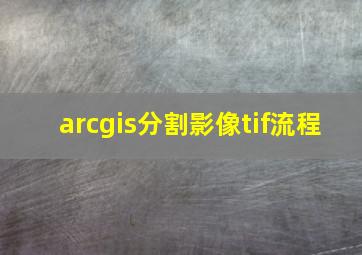 arcgis分割影像tif流程