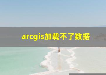 arcgis加载不了数据