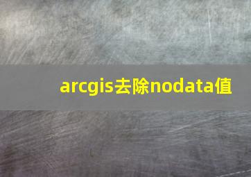 arcgis去除nodata值