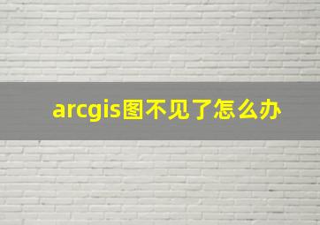 arcgis图不见了怎么办