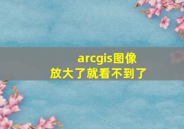 arcgis图像放大了就看不到了