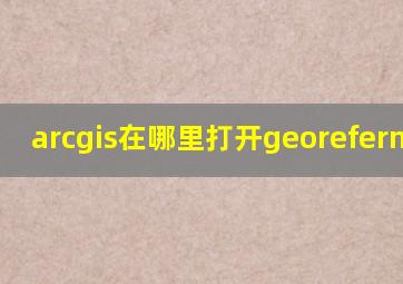 arcgis在哪里打开georeferncing