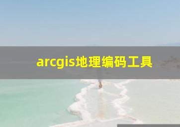 arcgis地理编码工具