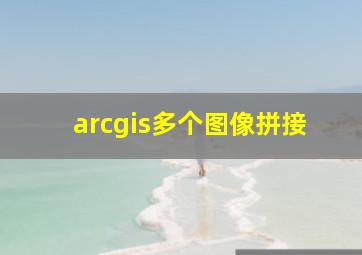 arcgis多个图像拼接