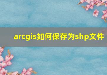 arcgis如何保存为shp文件