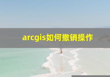 arcgis如何撤销操作