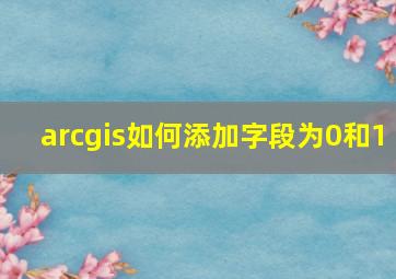 arcgis如何添加字段为0和1