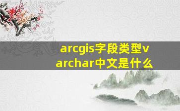 arcgis字段类型varchar中文是什么