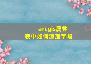 arcgis属性表中如何添加字段