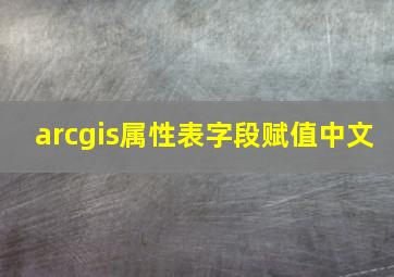 arcgis属性表字段赋值中文