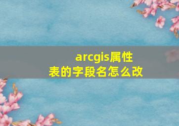 arcgis属性表的字段名怎么改